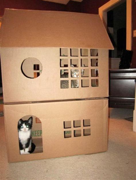Bored Quarantined Owners Have Started Building Cardboard Forts For Cats