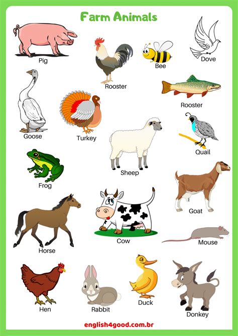 Farm Animals English4good Vocabulary Practice Farm Animals