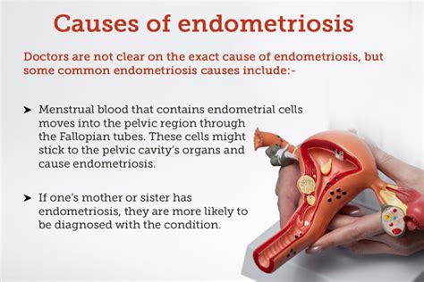 Endometriosis Causes Symptoms Treatments And More