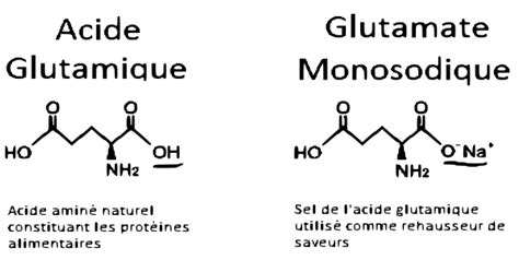 Les Molécules De Glutamate Le Glutamate Monosodique