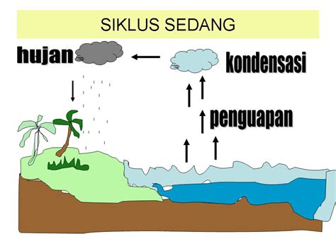 Macam Macam Presipitasi Pada Siklus Air Gambar Bunga Imagesee