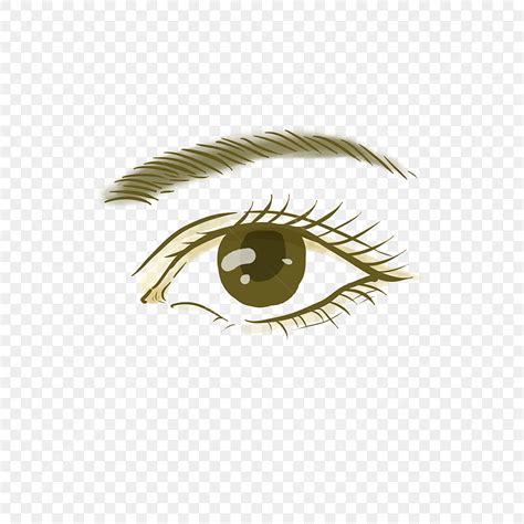 Original Hand Drawn Eyes Eyebrow Facial Features Illustration Elements