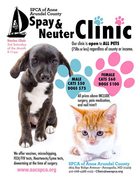 Neutering your pet can help prevent testicular cancer and prostate issues. Spay/Neuter Clinic - SPCA of Anne Arundel County