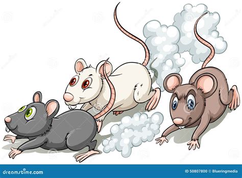 Rat Rats Running Isolated Illustration Royalty Free Cartoon