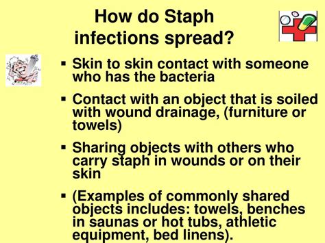 Ppt What Is A Staph Skin Infection Powerpoint Presentation Free