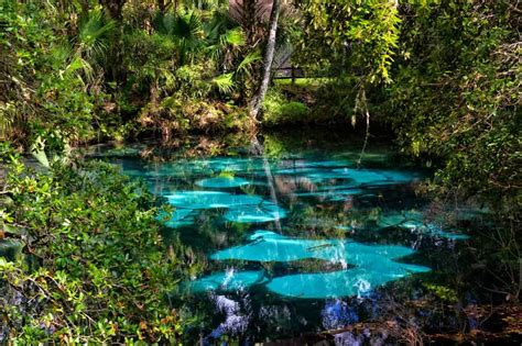 12 Prettiest Natural Springs In Florida Florida Trippers