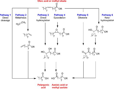 Oxidative Cleavage Of Oleic Acid Or Methyl Oleate Download