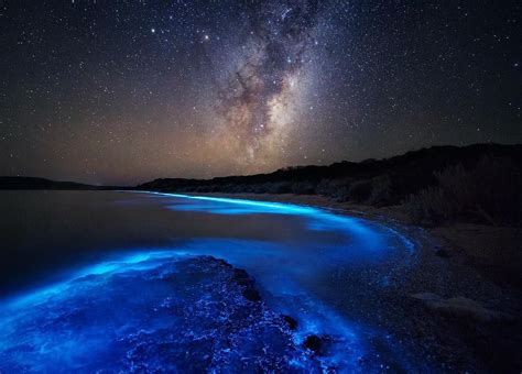 Milky Way Over Sea Sparkle Bay South Arm Tasmania Australia