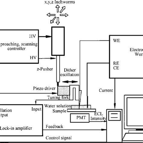 Block Diagram Of Scanning Optical Microscopy Based On Electrogenerated