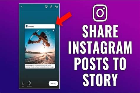 How To Share Someone Elses Story On Your Instagram Story In Easy Steps