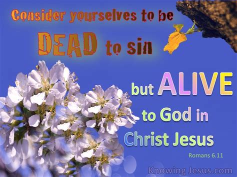 18 Bible Verses About Dead To Sin