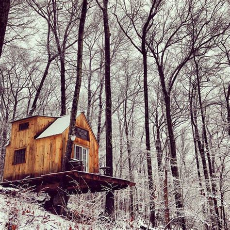 15 Outrageously Cool Treehouses That Will Make You Feel Like A Kid