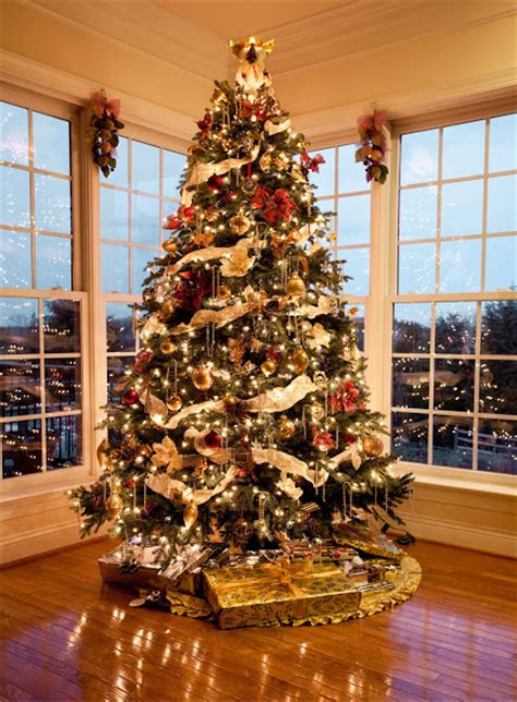 How To Decorate Christmas Tree Professionally 4 Steps