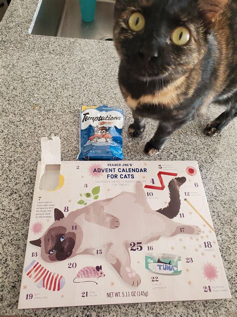 Trader Joes Advent Calendar For Cats