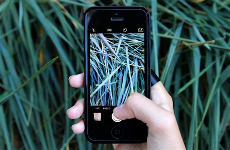 무료 이미지 아이폰 스마트 폰 변하기 쉬운 손 화면 과학 기술 녹색 간단한 기계 장치 푸른 검은 휴대 전화