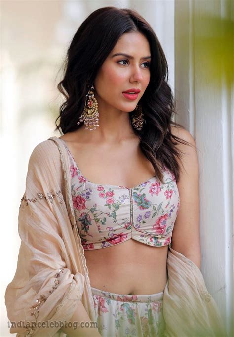 Sonam Bajwa Punjabi Actress Cts1 21 Hot Photo