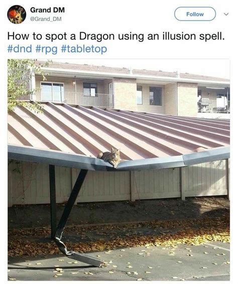 How To Spot A Dragon Using An Illusion Spell Cat Dungeons And