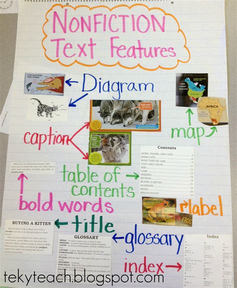 Anchor Chart For Non Fiction Books