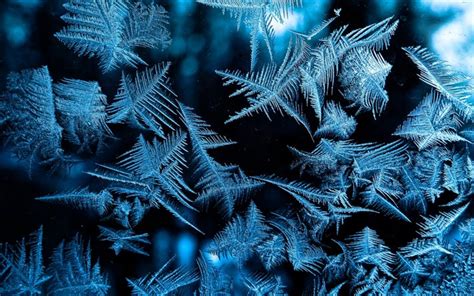 Download Wallpapers Ice Patterns Background Winter Background Frost