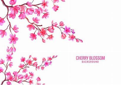 Cherry Blossom Background Floral Vector Pink Watercolor