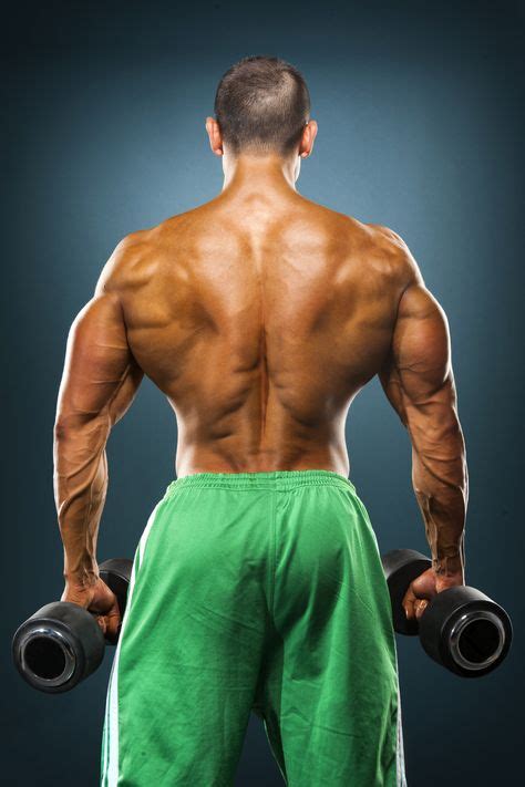 How To Build Back Muscle Size 8 Tips For An Impressive Back Training