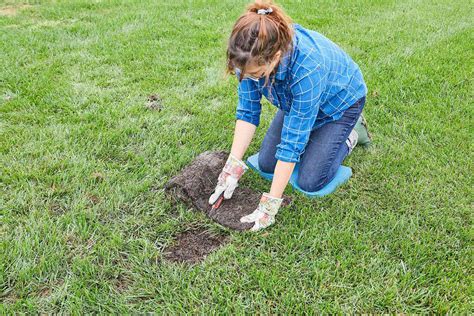 5 Key Steps To Laying Sod Better Homes And Gardens