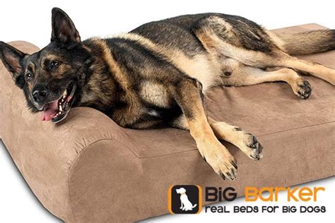 6 Best Big Barker Dog Beds For German Shepherds In 2024