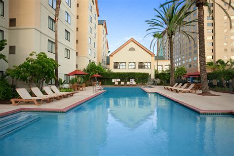 stonebridge companies homewood suites by hilton anaheim main gate welcomes guests for valentine