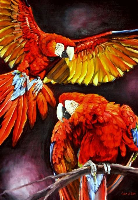 Scarlet Macaws By Veracauwenberghs On Deviantart Parrots Art Birds