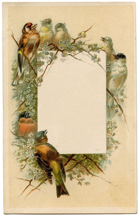 Vintage Frames Birds And Flowers The Graphics Fairy