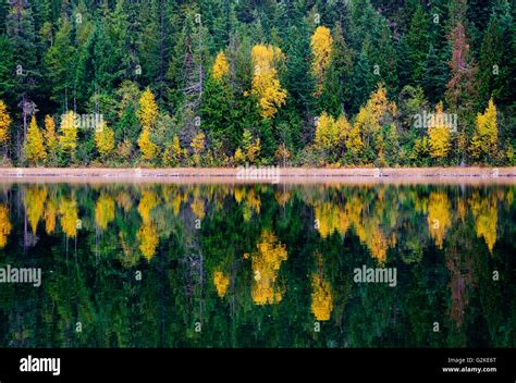 Shuswap Region Hi Res Stock Photography And Images Alamy