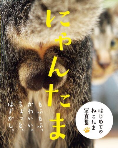 Picture Book Nyan Tama Cat Testicles Male Cats Furry Balls Japanese