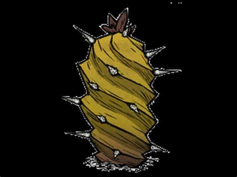After spending a while in shipwrecked setting up a small base, we find ourselves back in hamlet building up our pig city. Don't Starve elephant cactus meta: general uses. - YouTube