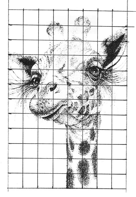 Art Grid Drawing Worksheets Art Worksheets Drawing Grid Drawings