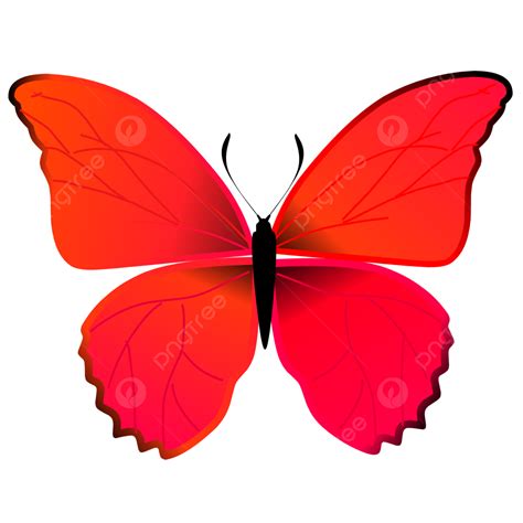 Hermoso Vector De Ilustración De Mariposa Roja Png Mariposa Rojo