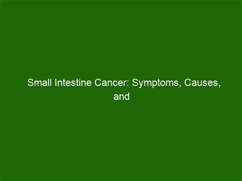 small intestine cancer symptoms causes and treatment health and beauty