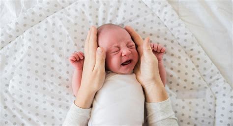 In north america, the youngest child is often called the. Torticollis | BabyCenter