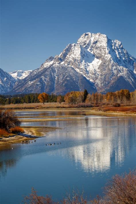 Oxbow Bend Viewpoint On Panorama Of Mt Moran And Wildlife Grand Teton