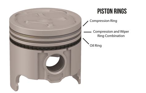 Gearhead Piston Rings