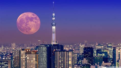Japan Aesthetic Wallpaper Pc - Free Wallpapers HD