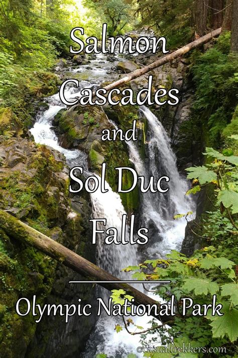 Sol Duc Falls And Salmon Cascades Casual Trekkers