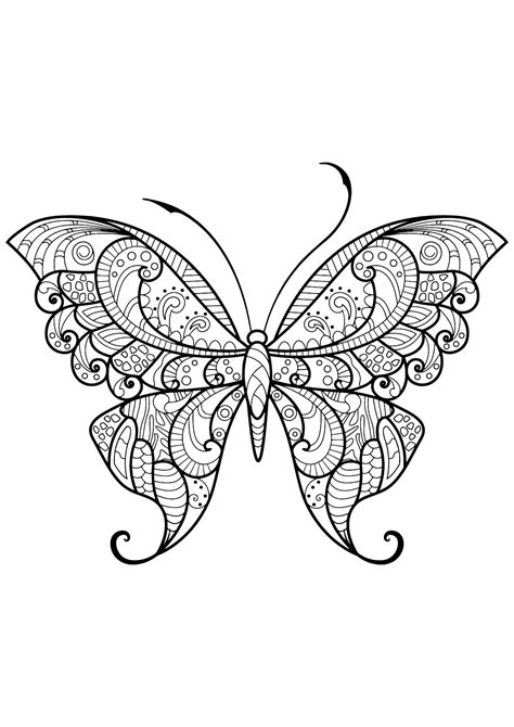 Papillon jolis motifs 12  Papillons & insectes  Coloriages difficiles