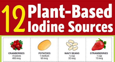 12 vegan sources of iodine infographic