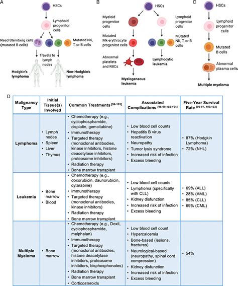 Schematic Of The Pathological Differentiation Of A Lymphoma B