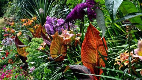 5 Secrets To Creating Spectacular Tropical Gardening Designs