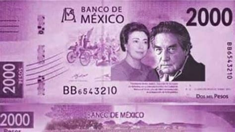 Borde Conductividad Enemigo Billetes Peso Mexicano Juntar Fraude Gatito