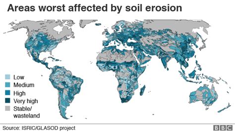 Climate Change Being Fuelled By Soil Damage Report Bbc News