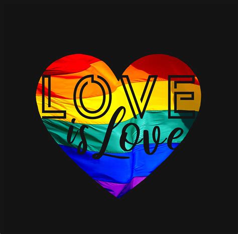 love is love gay pride shirt lgbt pride flag lgbt clothing etsy