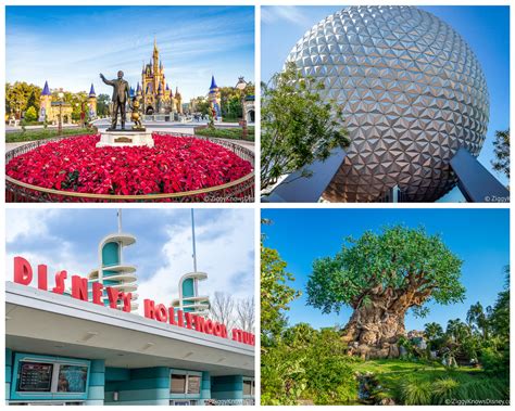 The Top 20 How Many Parks Are In Disney World
