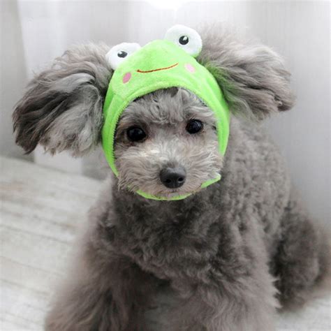 Cute Dog Hat Animal Shape Dog Cap Cheap Pet Accessories Caps Etsy